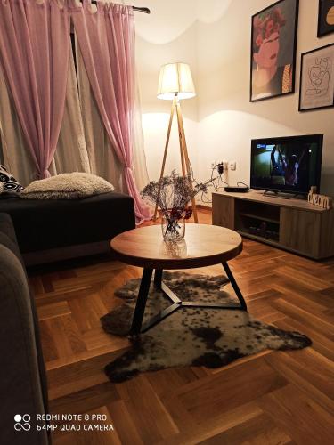 Apartman Sofija - image 2
