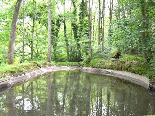 Cottage in the heart of the Ardennes woods