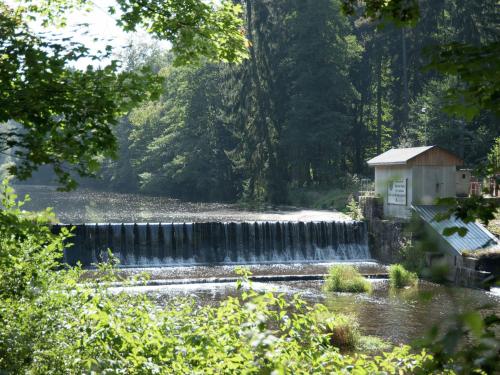 Comfortable holiday home in Saxony with terrace