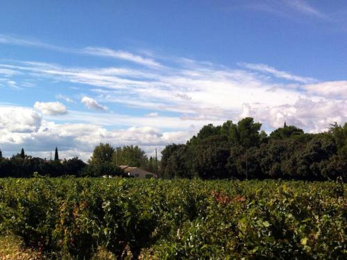 Cozy Holiday Home in Sorgues with Garden