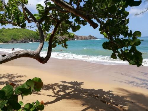 Kasa Créole Kasa Créole