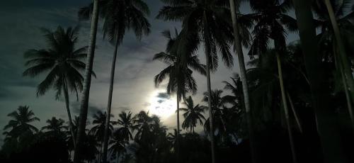 Asian Secret Resort – Lamai Beach, UT