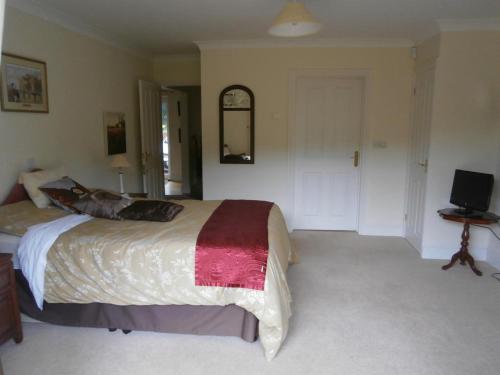 Riverdown - image 14