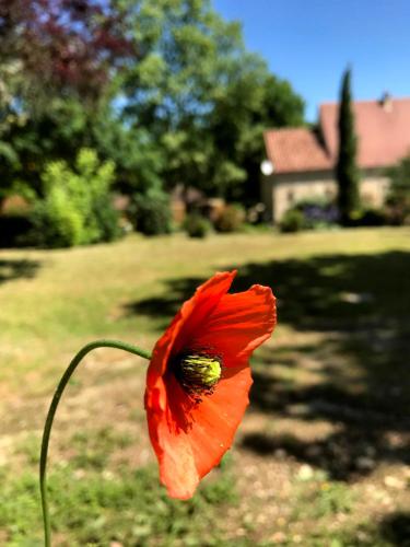 Gîte de charme avec vue nature proche Sarlat gîte à louer Bouzic