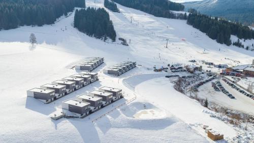 Naturpark Chalets Lambrecht by ALPS RESORTS - Sankt Lambrecht