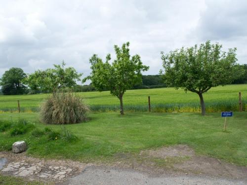 Woodview B&B Colchester - image 5