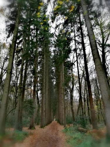 Bungalowpark Simpelveld 3