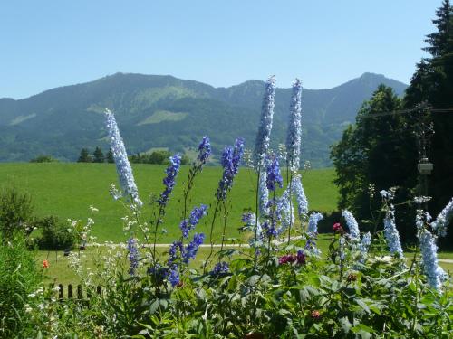 Adlerhof in Samerberg, Deutschland