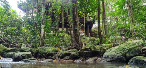 Beautiful natural surroundings