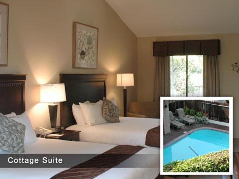 Adobe Inn - image 8