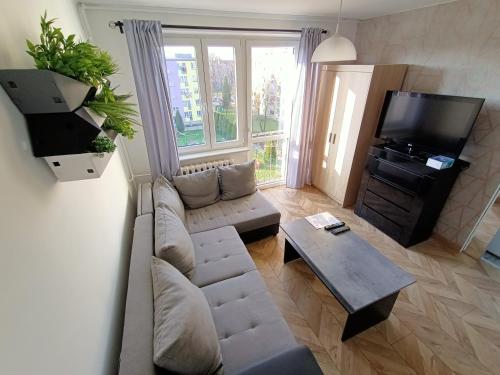 Perfekt place - Apartment - Oświęcim