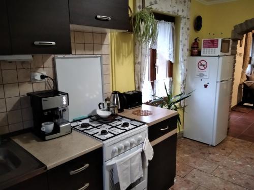 Facilities, Mozsi Apartman Tolna in Tamási