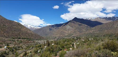 Cordillera Flora endógena Bosque Esclerófilo