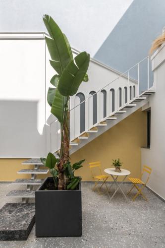 Domus Ariadne - image 7