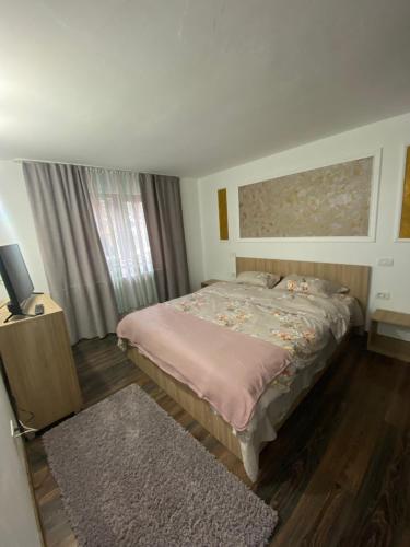 Vila Sorina - image 12