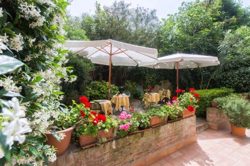 Casa Mimma - image 12