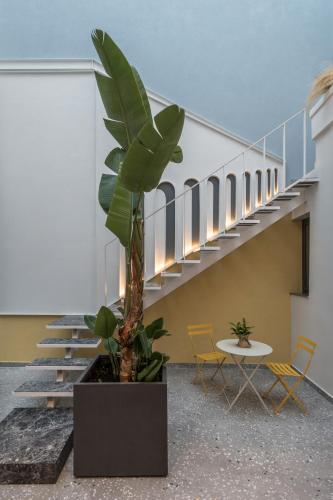 Domus Ariadne - image 4