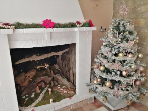 B&B Maremma's dream - image 4