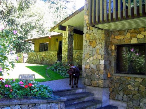 Hotels Image