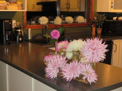Hotels Image