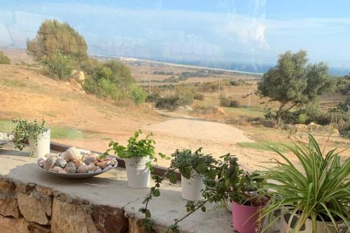 NATURAL DREAM APARTMENT BLUE WIFI in La Pena