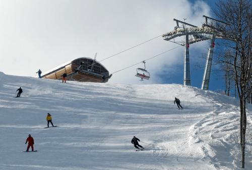 Chalet Kolašin - image 11