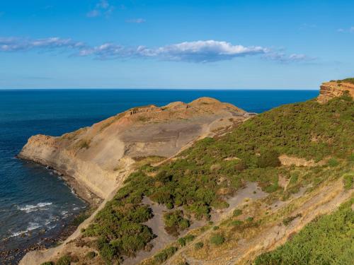 Sea Holly Lodge - main image
