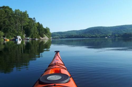 Le Nid doré sur le lac (Golden Nest on the lake) - Apartment - Val des Monts