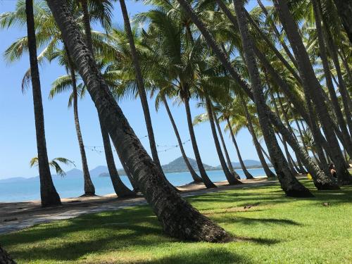 PalmCove DriftAway