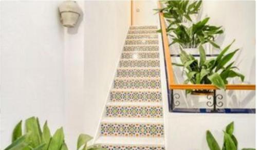 Apartamentos Los Arcos Apartamentos Los Arcos