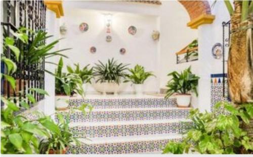 Apartamentos Los Arcos Apartamentos Los Arcos