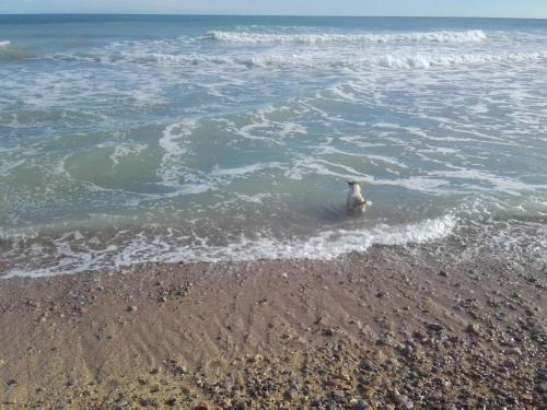 Strand, Cerro Mar in Cerromar