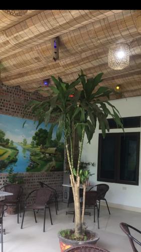 닌빈 Tam Coc Scenery Homestay 3성급 호텔 전망