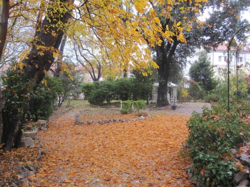Villa Fausta B&B – Trieste, FL