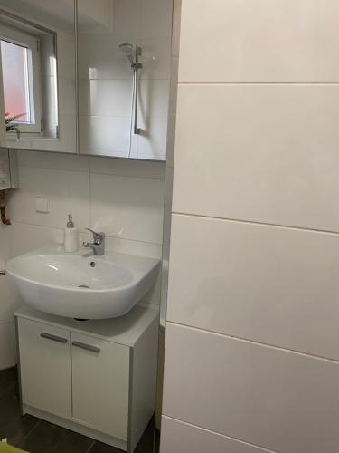 Work & Study Apartment, Карлсруэ (фото 10)