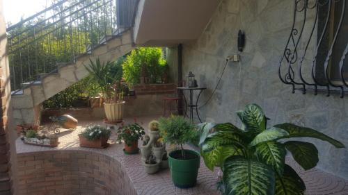 B&B La Corte Dei Samidagi 5