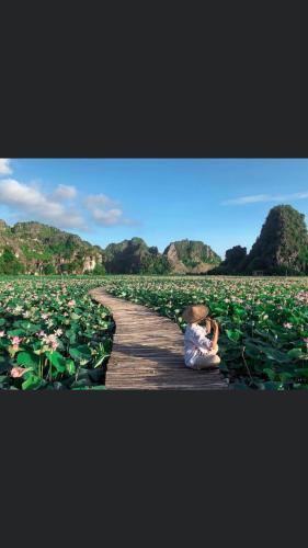 Tam Coc Scenery Homestay