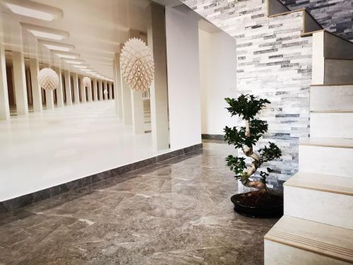 Doftana Apartaments in เจชิลา