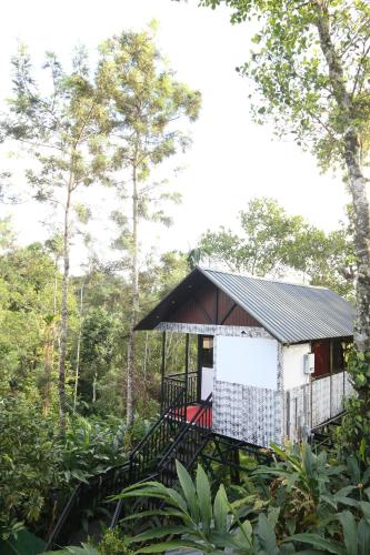 Spice Valley Home Stay & Tree House Munnar