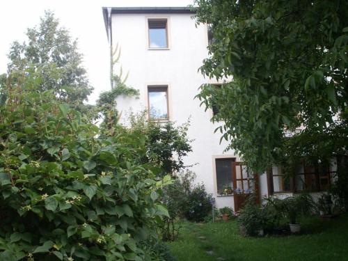 Single Room with Park View