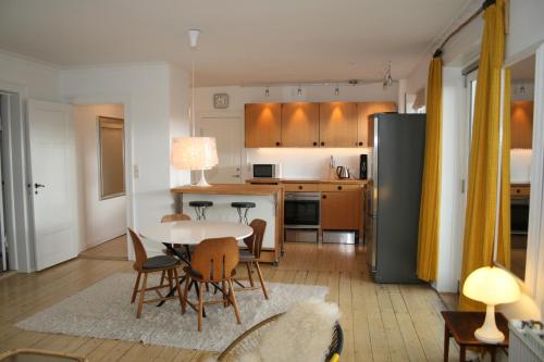 Copenhagen large Penthouse Apartment Copenhagen 