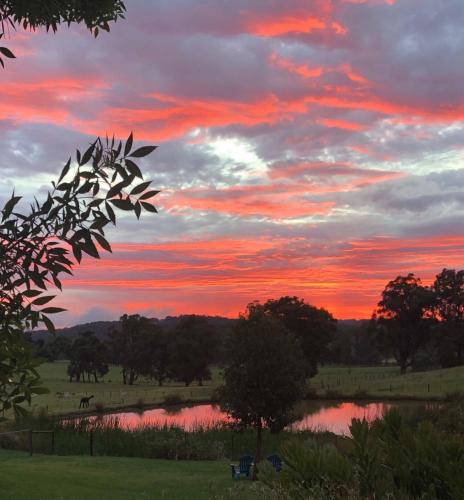 Raynella Alpaca Farmstay