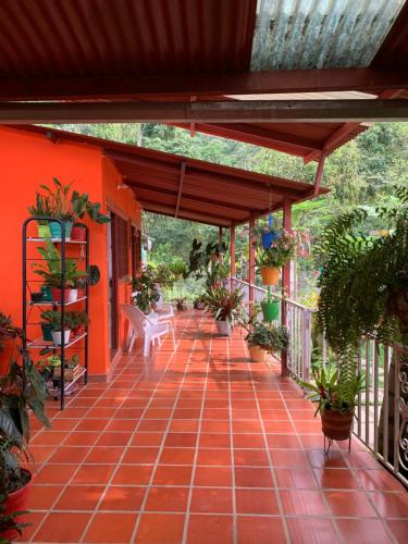 Finca campestre en Mesitas del Colegio in 기타