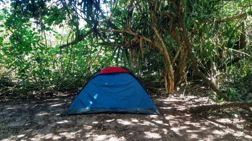 Happy Beach Camping