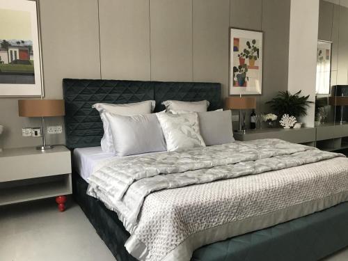 Superior Apartment image 10