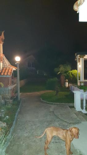 Pobri, Matulji (foto 6)