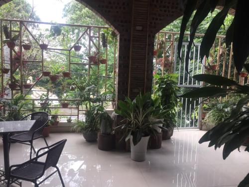 닌빈 Tam Coc Scenery Homestay 3성급 호텔 수영장