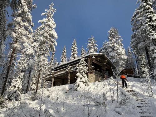 Porontima Lake House in Pure Rukatunturi Nature