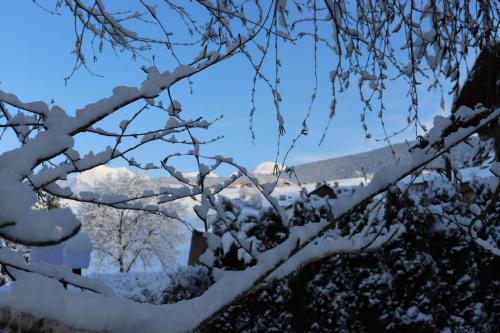 Pension Volgger - image 14