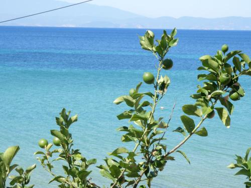  Villa Giotis in Skala Sotiros